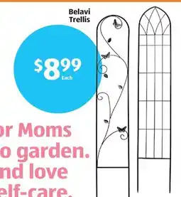 Aldi Belavi Trellis offer