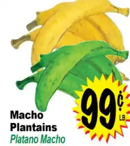 Superior Grocers Macho Plantains offer