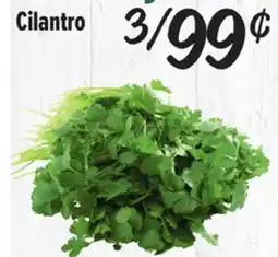 El Super Cilantro offer