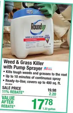 Menards Weed & Grass Killer with Pump Sprayer offer