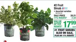 Menards 2 Fruit Shrub offer