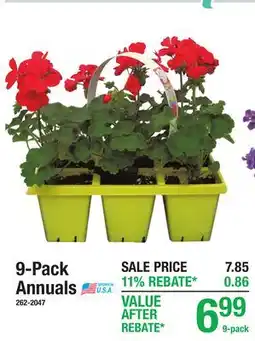 Menards 9-Pack Annuals offer