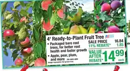 Menards 4' Ready-to-Plant Fruit Tree offer