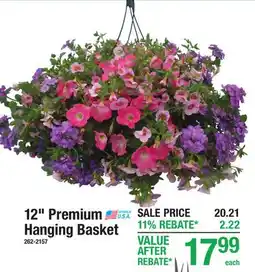 Menards 12 Premium Hanging Basket offer