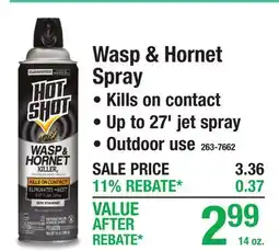 Menards Wasp & Hornet Spray offer