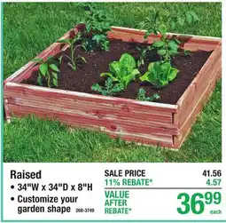 Menards Raised offer