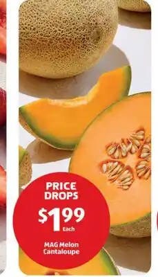 Aldi MAG Melon Cantaloupe offer