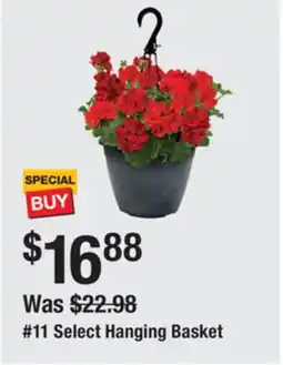 The Home Depot 11 Select Hanging Basket offer
