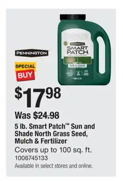 The Home Depot PENNINGTON 5 lb. Smart Patch Sun and Shade North Grass Seed, Mulch & Fertilizer offer