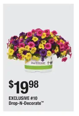 The Home Depot 10 Drop-N-Decorate offer