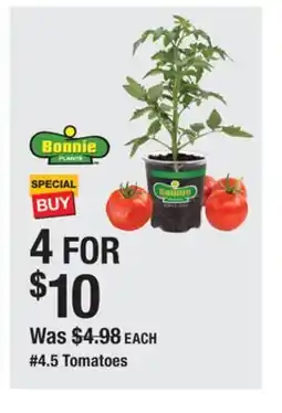 The Home Depot BONNIE #4.5 Tomatoes offer