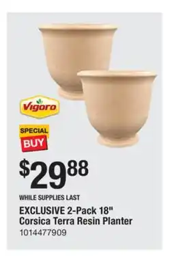 The Home Depot VIGORO 2-Pack 18 Corsica Terra Resin Planter offer