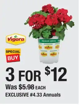 The Home Depot VIGORO #4.33 Annuals offer