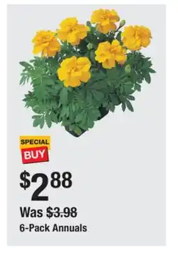 The Home Depot 6-Pack Annuals offer