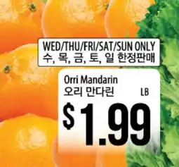 Hmart Orri Mandarin offer