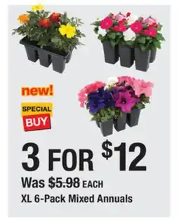 The Home Depot XL 6-Pack Mixed Annuals offer