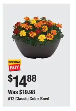 The Home Depot PROVEN WINNERS #12 Classic Color Bowl offer