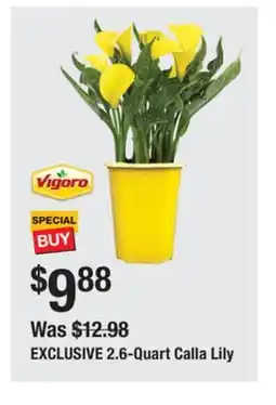 The Home Depot VIGORO 2.6-Quart Calla Lily offer