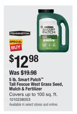 The Home Depot PENNINGTON 5 lb. Smart Patch Tall Fescue West Grass Seed, Mulch & Fertilizer offer