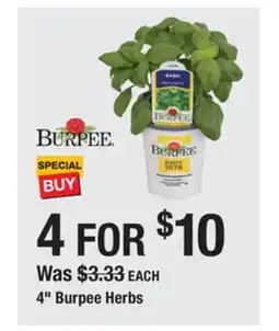 The Home Depot 4 BURPEE Herbs offer