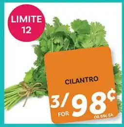 El Paso Grande CILANTRO offer