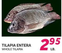 El Paso Grande WHOLE TILAPIA offer