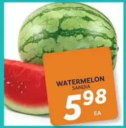 El Paso Grande WATERMELON offer