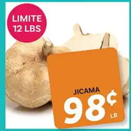 El Paso Grande JICAMA offer