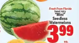 Angelo Caputo's Fresh Market Fresh From Florida Sweet Juicy Mini Seedless Watermelons offer