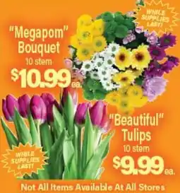 Angelo Caputo's Fresh Market Megapom Bouquet 10 stem, Beautiful Tulips 10 stem offer
