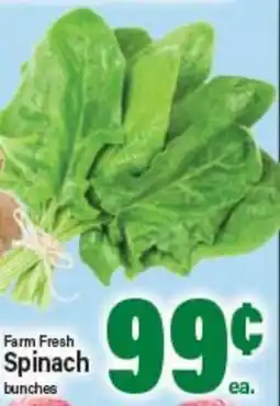Angelo Caputo's Fresh Market Farm Fresh Spinach offer