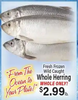 Angelo Caputo's Fresh Market Fresh Frozen Wild Caught Whole Herring offer