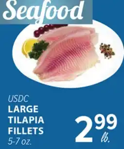 Cermak Fresh Market USDC LARGE TILAPIA FILLETS offer