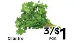 Rich's Fresh Market Cilantro offer