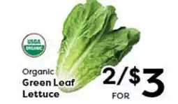 Rich's Fresh Market Organic Green Leaf Lettuce offer