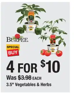 The Home Depot 3.5 Vegetables & Herbs offer