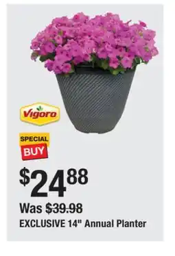 The Home Depot VIGORO 14 Annual Planter offer