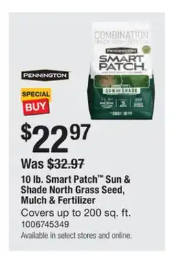 The Home Depot PENNINGTON 10 lb. Smart Patch Sun & Shade North Grass Seed, Mulch & Fertilizer offer