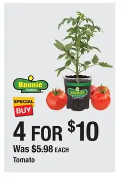 The Home Depot Tomato offer
