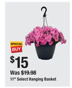 The Home Depot 11 Select Hanging Basket offer