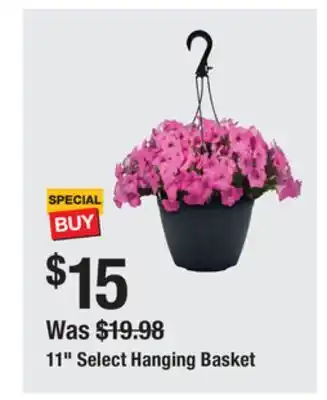 The Home Depot 11 Select Hanging Basket offer