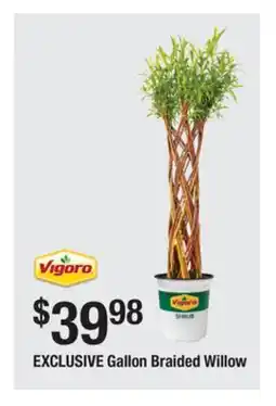 The Home Depot VIGORO Gallon Braided Willow offer