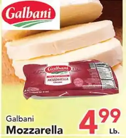 Eurofresh Market Galbani Mozzarella offer