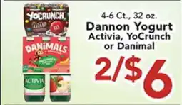 Eurofresh Market Dannon Yogurt Activia, YoCrunch or Danimal offer