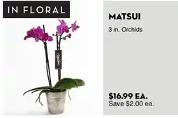 Bristol Farms MATSUI 3 in. Orchids offer
