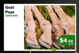 Market Place on Oakton Goat Paya offer