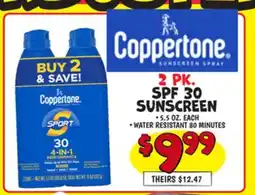 Ollie's Coppertone SPF 30 SUNSCREEN offer
