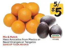 Winn Dixie Hass Avocados or Navel Oranges or Tangelos offer