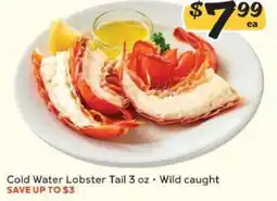 Winn Dixie Cold Water Lobster Tail offer