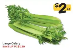 Winn Dixie Large Celery offer